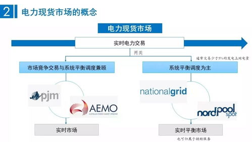 ppt 现货市场和电力市场都分别有哪些模式 各有什么特点 应该如何选择