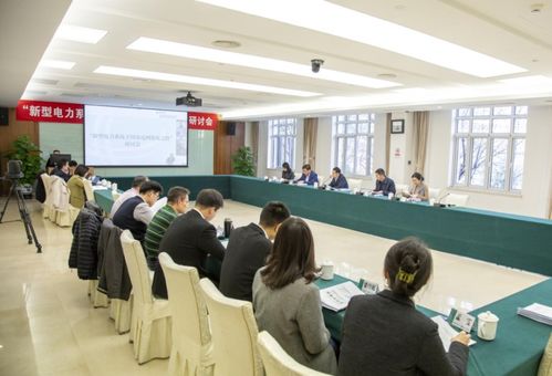 盘古智库与国网党校 国网领导科学研究院 联合举办新型电力系统构建研讨会