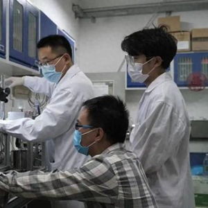 新突破 祝贺我国科学家