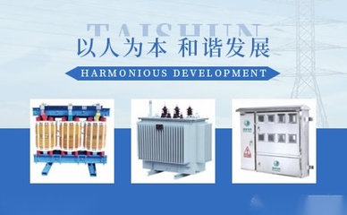 泰顺电力科研 推动绿色能源与智能电网融合发展